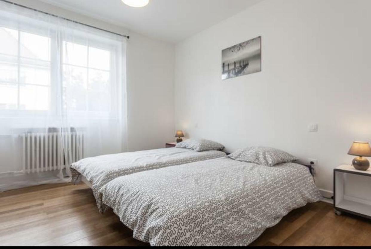 Charmant Appartement Avec Terrasse Dans Villa Strasburgo Esterno foto