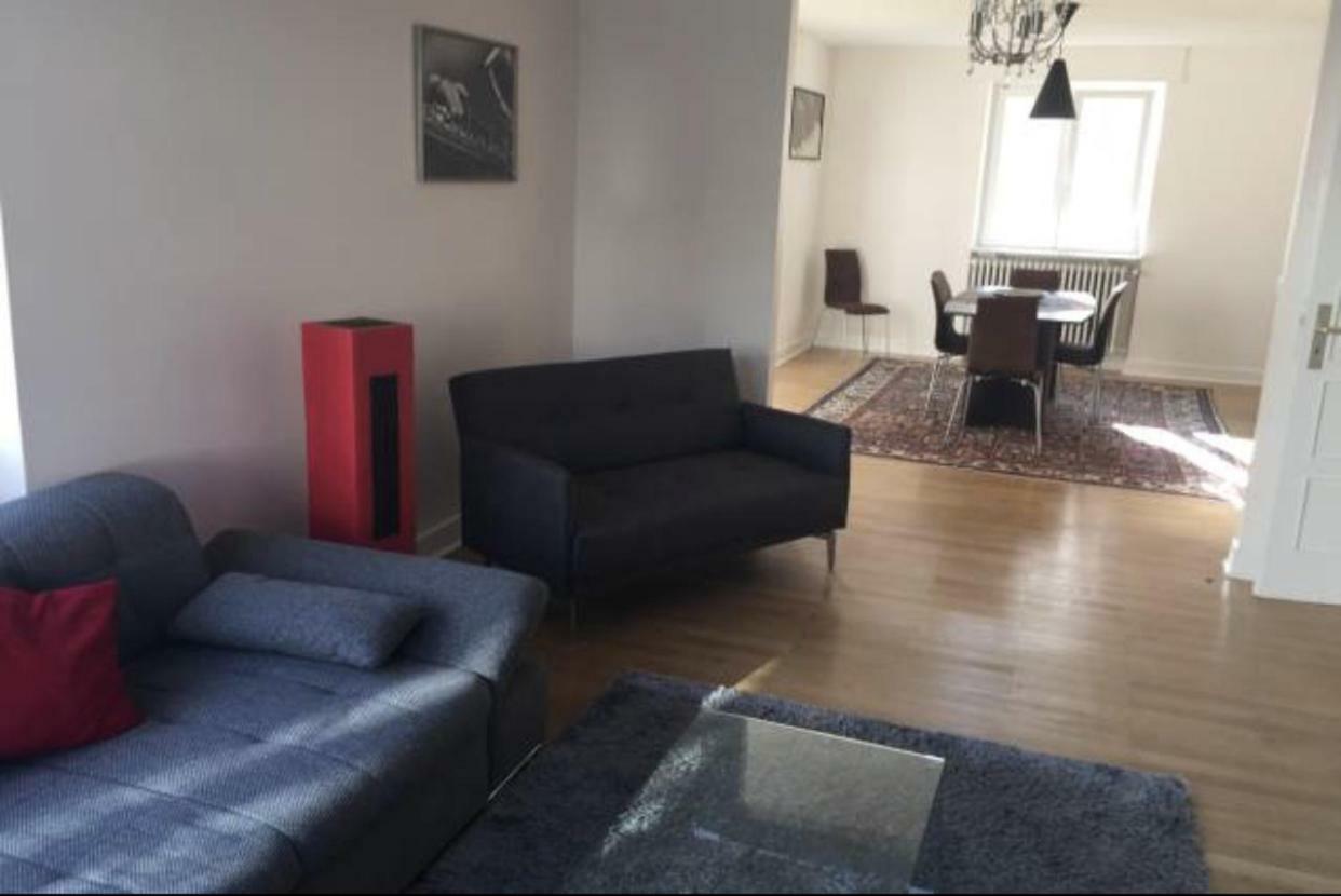 Charmant Appartement Avec Terrasse Dans Villa Strasburgo Esterno foto