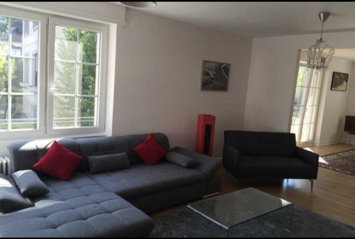 Charmant Appartement Avec Terrasse Dans Villa Strasburgo Esterno foto