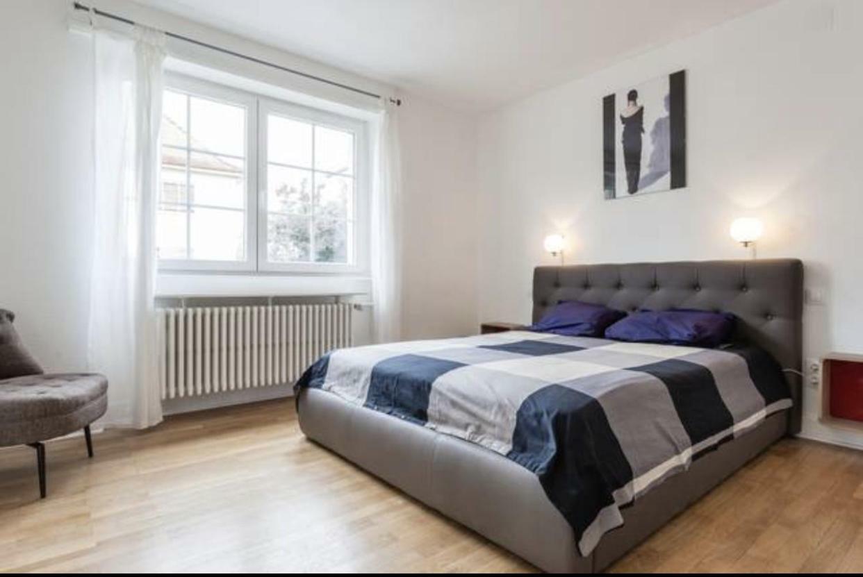 Charmant Appartement Avec Terrasse Dans Villa Strasburgo Esterno foto